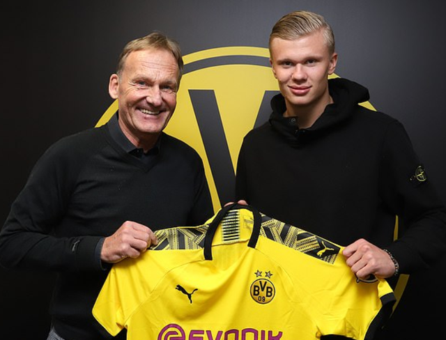 案的交替使